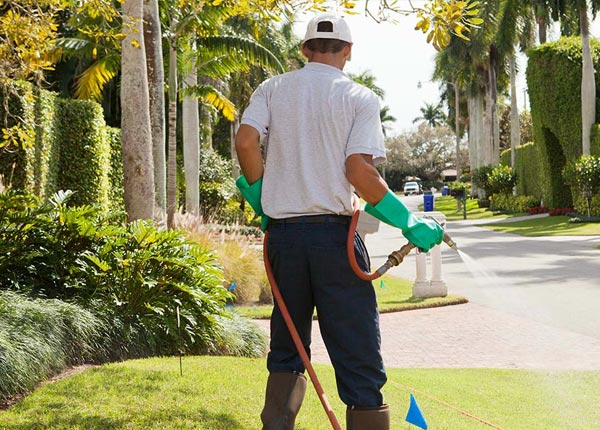 About Big Springs WV Pest Control